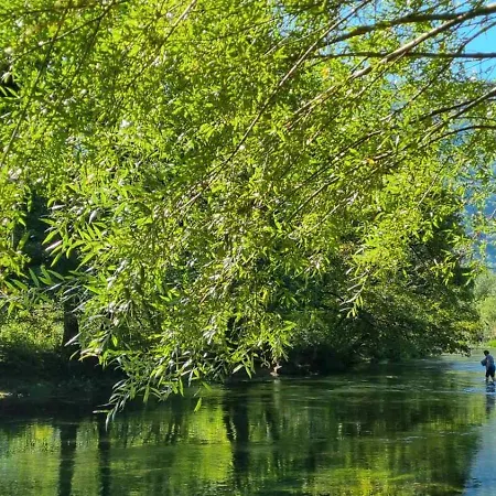 Bad And Breakfast Majestik Отель типа 